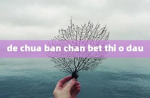 de chua ban chan bet thi o dau