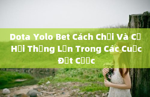 Dota Yolo Bet Cách Chơi Và Cơ Hội Thắng Lớn Trong Các Cuộc Đặt Cược