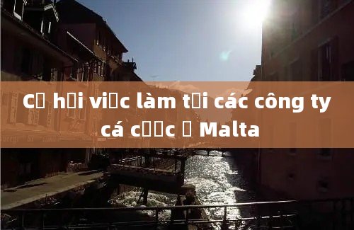 Cơ hội việc làm tại các công ty cá cược ở Malta