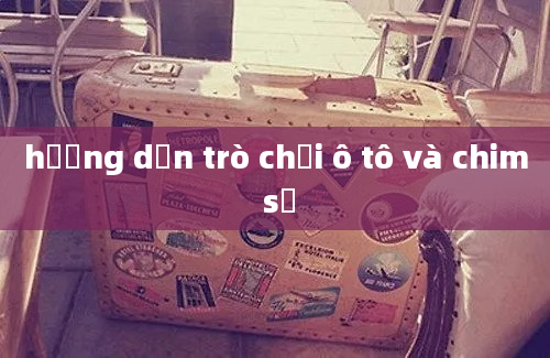 hướng dẫn trò chơi ô tô và chim sẻ