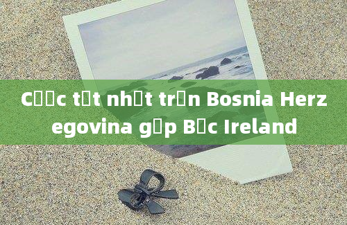 Cược tốt nhất trận Bosnia Herzegovina gặp Bắc Ireland