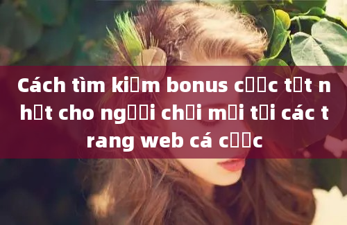 Cách tìm kiếm bonus cược tốt nhất cho người chơi mới tại các trang web cá cược