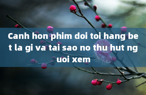 Canh hon phim doi toi hang bet la gi va tai sao no thu hut nguoi xem