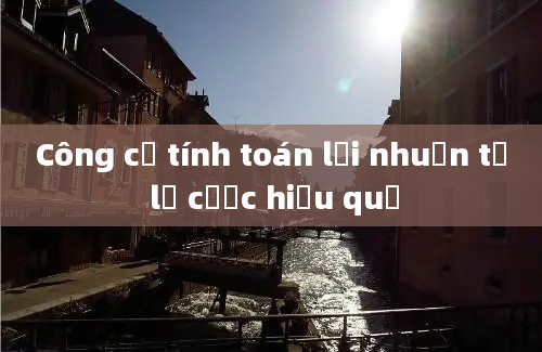 Công cụ tính toán lợi nhuận tỷ lệ cược hiệu quả