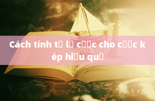 Cách tính tỷ lệ cược cho cược kép hiệu quả