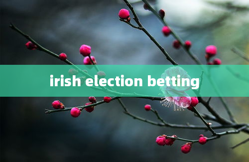 irish election betting