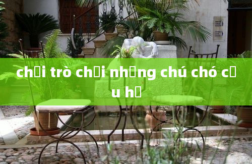 chơi trò chơi những chú chó cứu hộ