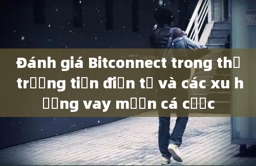 Đánh giá Bitconnect trong thị trường tiền điện tử và các xu hướng vay mượn cá cược