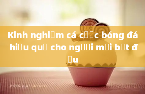 Kinh nghiệm cá cược bóng đá hiệu quả cho người mới bắt đầu