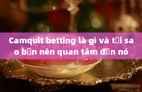 Camquit betting là gì và tại sao bạn nên quan tâm đến nó