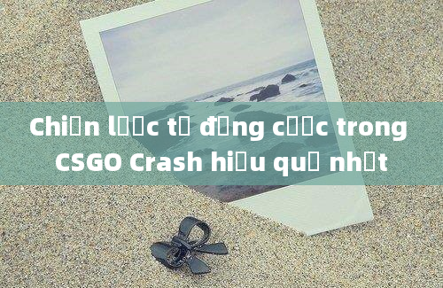 Chiến lược tự động cược trong CSGO Crash hiệu quả nhất