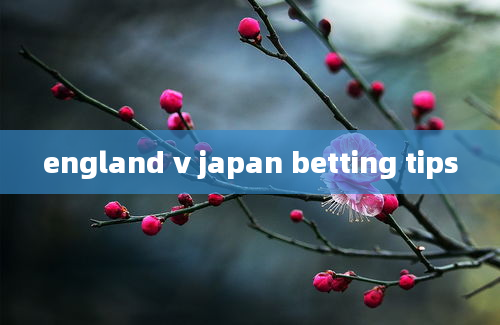 england v japan betting tips