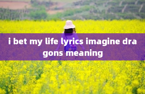 i bet my life lyrics imagine dragons meaning