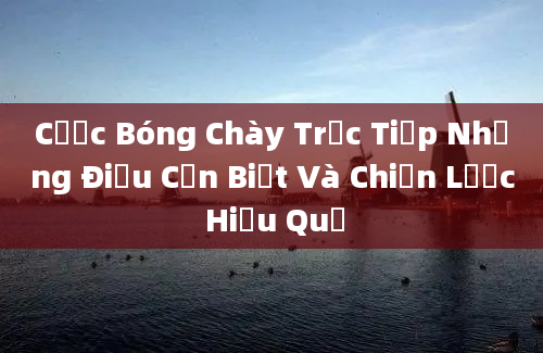 Cược Bóng Chày Trực Tiếp Những Điều Cần Biết Và Chiến Lược Hiệu Quả