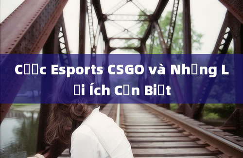 Cược Esports CSGO và Những Lợi Ích Cần Biết