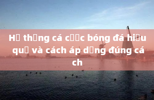 Hệ thống cá cược bóng đá hiệu quả và cách áp dụng đúng cách