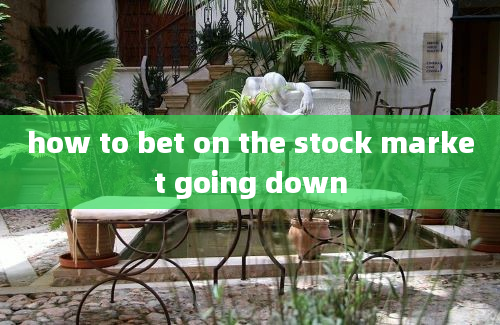 how to bet on the stock market going down