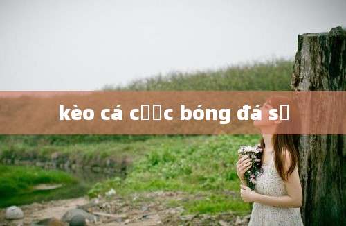 kèo cá cược bóng đá số