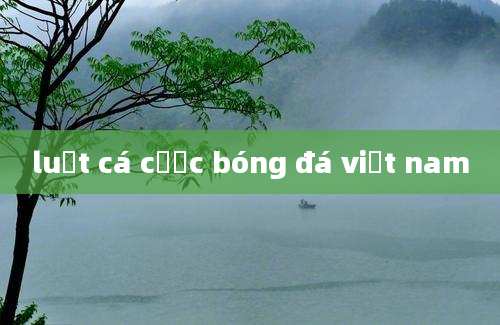 luật cá cược bóng đá việt nam