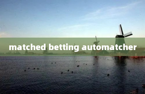 matched betting automatcher