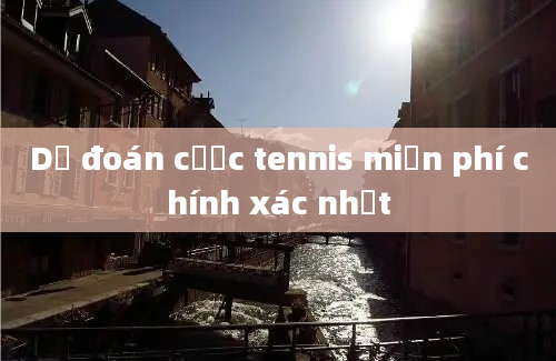 Dự đoán cược tennis miễn phí chính xác nhất