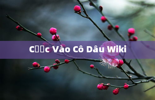 Cược Vào Cô Dâu Wiki