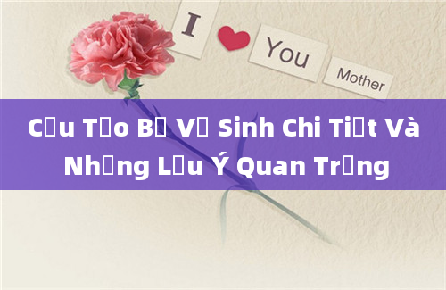 Cấu Tạo Bệ Vệ Sinh Chi Tiết Và Những Lưu Ý Quan Trọng