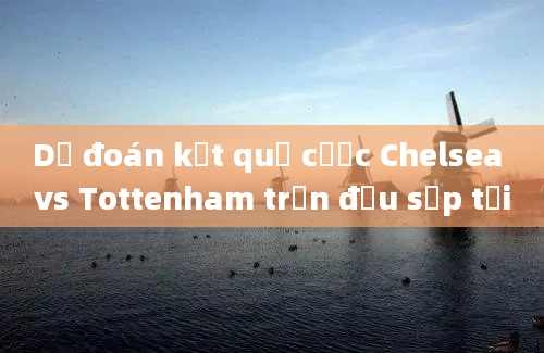 Dự đoán kết quả cược Chelsea vs Tottenham trận đấu sắp tới