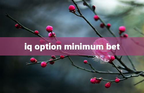 iq option minimum bet