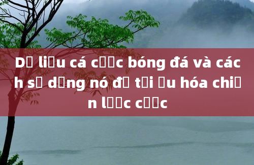 Dữ liệu cá cược bóng đá và cách sử dụng nó để tối ưu hóa chiến lược cược