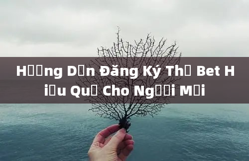 Hướng Dẫn Đăng Ký Thả Bet Hiệu Quả Cho Người Mới