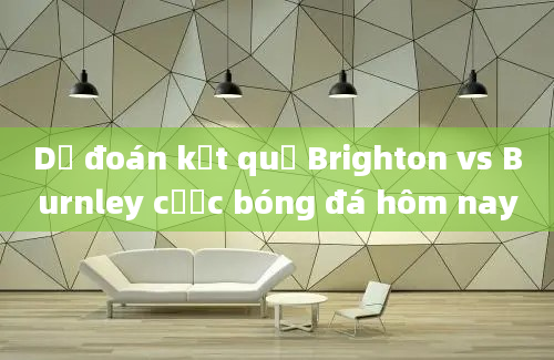 Dự đoán kết quả Brighton vs Burnley cược bóng đá hôm nay