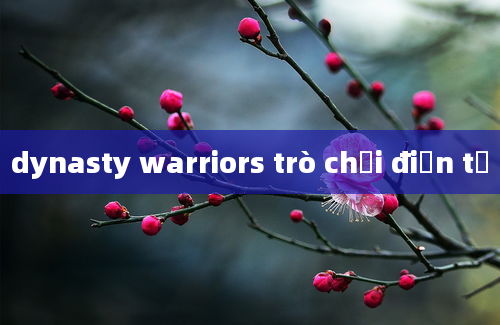 dynasty warriors trò chơi điện tử