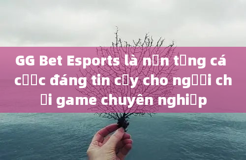 GG Bet Esports là nền tảng cá cược đáng tin cậy cho người chơi game chuyên nghiệp