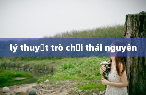 lý thuyết trò chơi thái nguyên