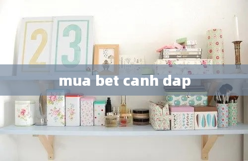 mua bet canh dap