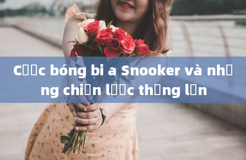 Cược bóng bi a Snooker và những chiến lược thắng lớn