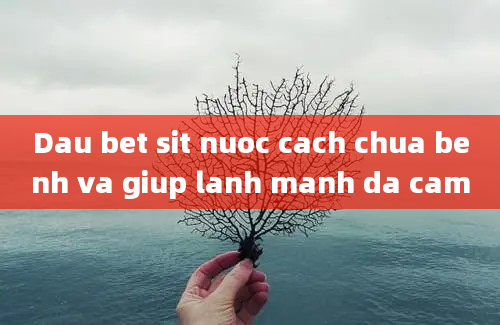 Dau bet sit nuoc cach chua benh va giup lanh manh da cam