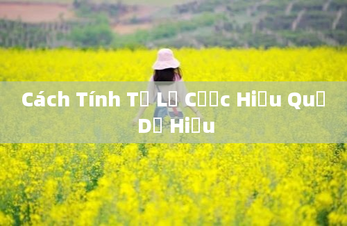 Cách Tính Tỷ Lệ Cược Hiệu Quả Dễ Hiểu