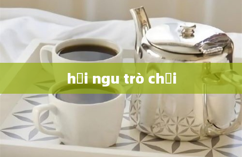 hỏi ngu trò chơi