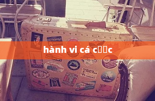 hành vi cá cược