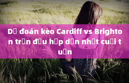 Dự đoán kèo Cardiff vs Brighton trận đấu hấp dẫn nhất cuối tuần