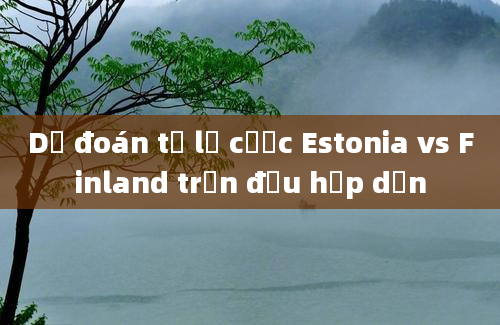 Dự đoán tỷ lệ cược Estonia vs Finland trận đấu hấp dẫn