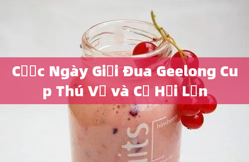 Cược Ngày Giải Đua Geelong Cup Thú Vị và Cơ Hội Lớn