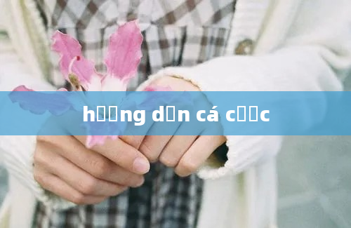 hướng dẫn cá cược