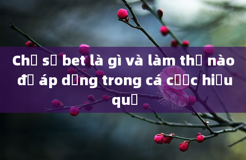 Chỉ số bet là gì và làm thế nào để áp dụng trong cá cược hiệu quả