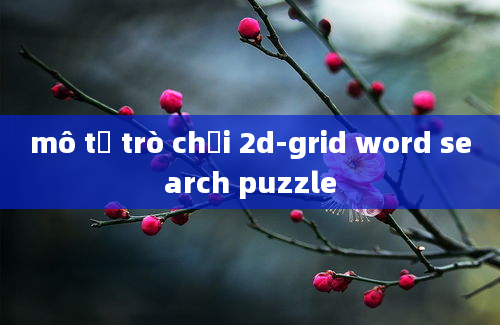 mô tả trò chơi 2d-grid word search puzzle