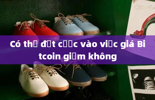 Có thể đặt cược vào việc giá Bitcoin giảm không