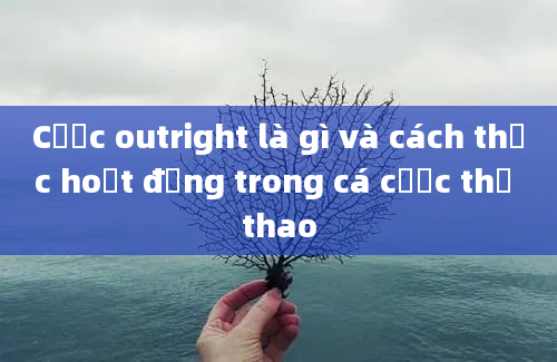 Cược outright là gì và cách thức hoạt động trong cá cược thể thao