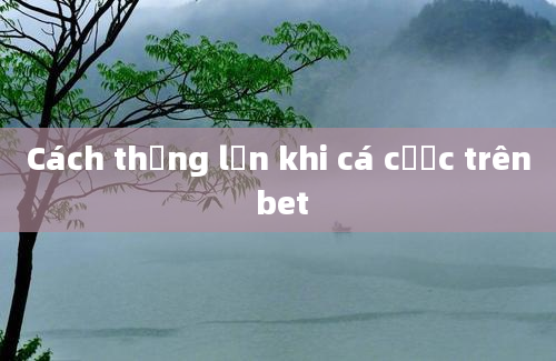 Cách thắng lớn khi cá cược trên bet